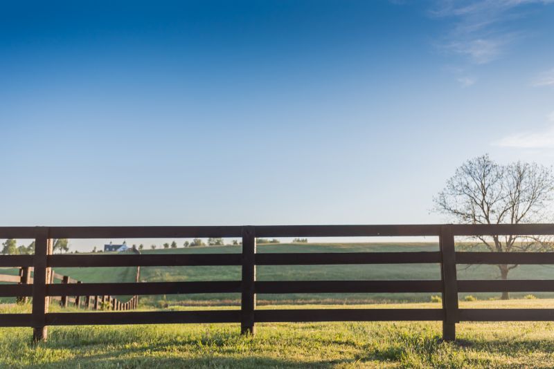 Equine Fence Installation