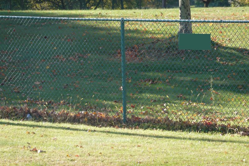 Chain-Link Fence around Yard